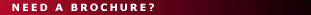 needbrochure_title.gif (2574 bytes)